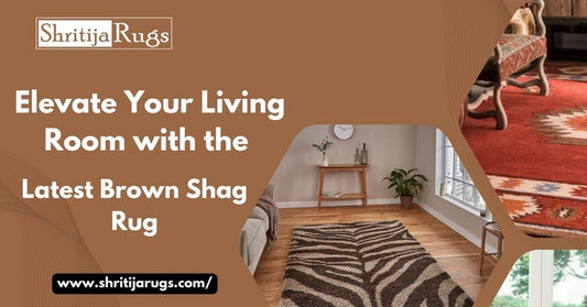 Brown Shag Rug