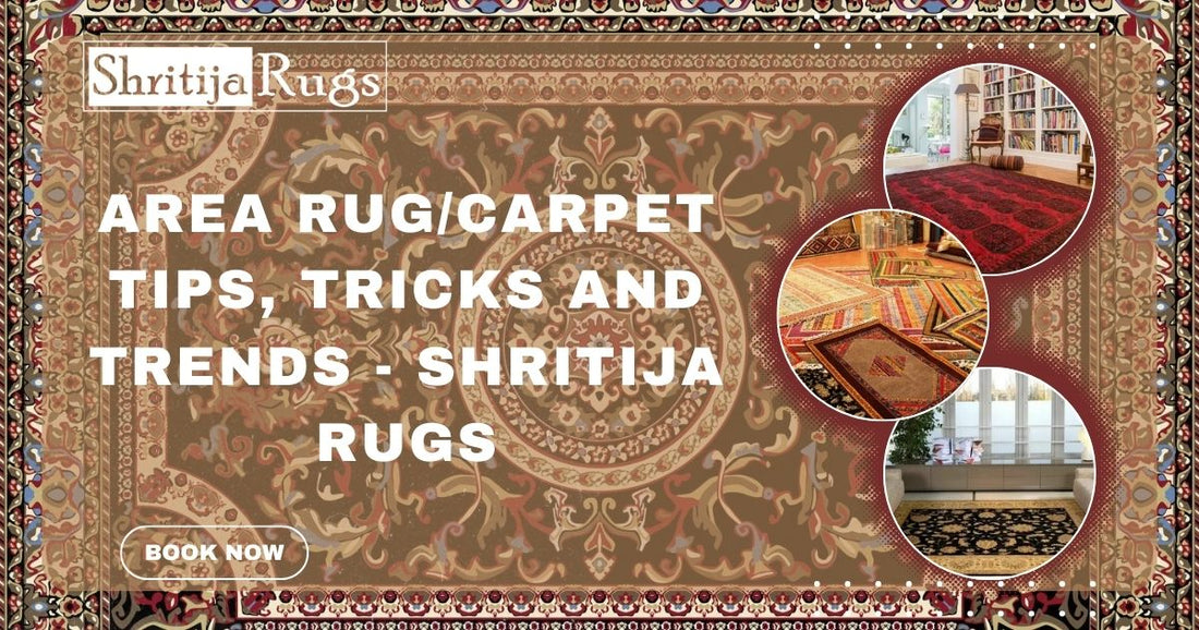 Area Rug/Carpet Tips, Tricks and Trends - Shritija Rugs