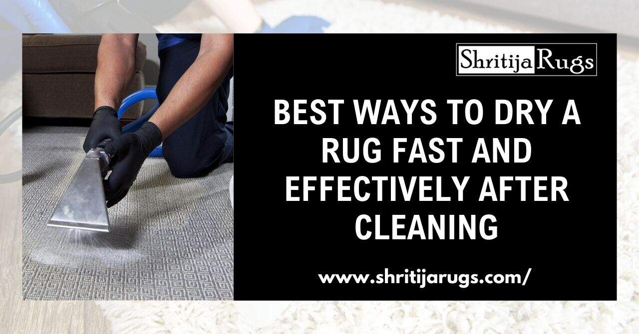 Dripping Rug Best Ways to Dry a Rug Fast and Effectively After Cleaning – Shritija Rugs