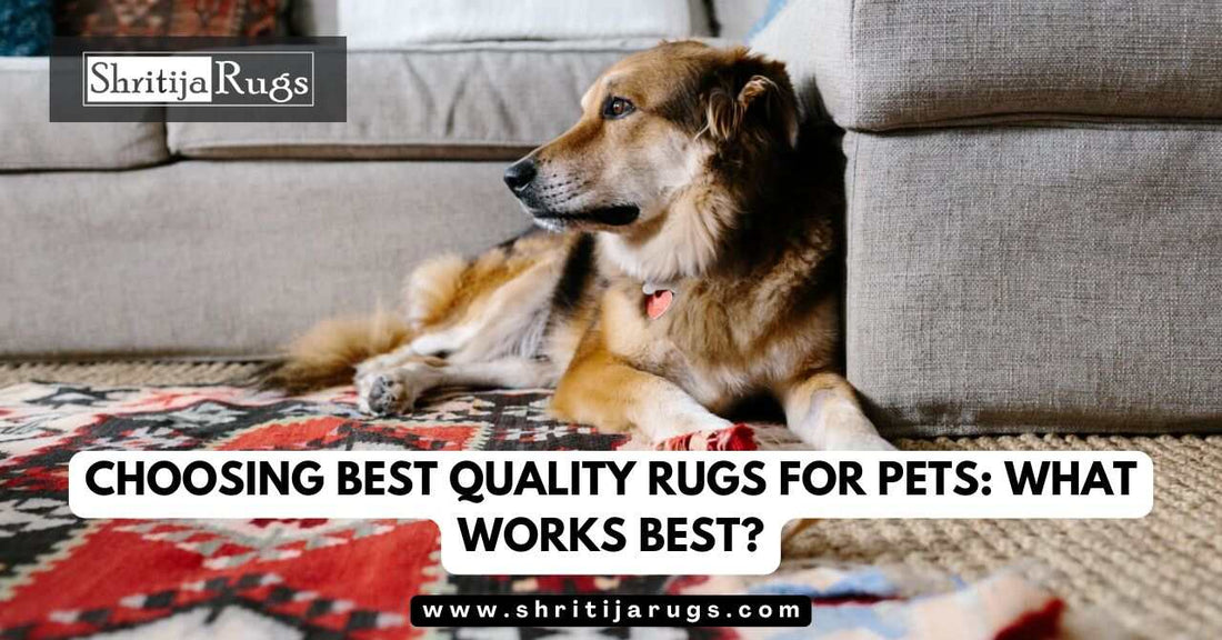 Best pet friendly rugs