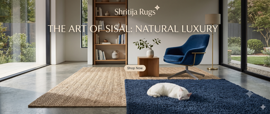 Sisal Rugs & Sisal Carpet Rugs: Benefits, Materials, Care Guide & Buying Tips