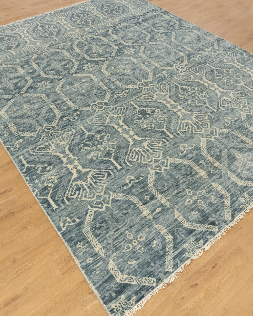 Mika Vintage Transitional Rug..