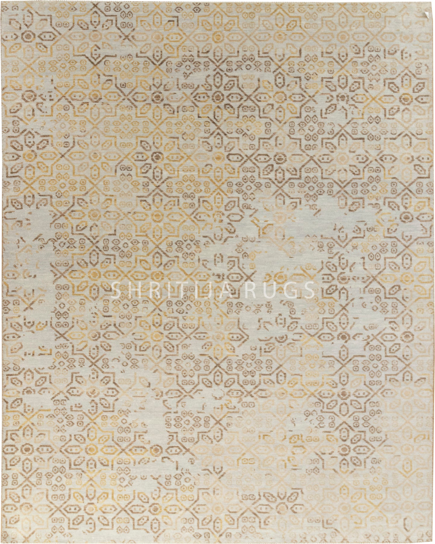 Floral Persian Oriental Area Living room Rug