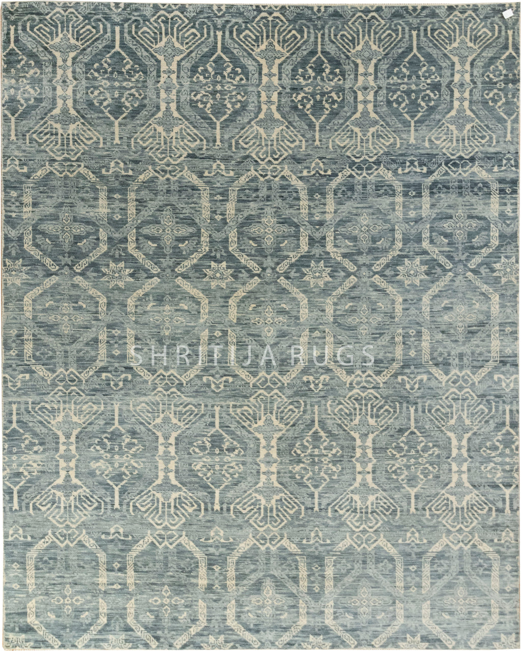 Mika Vintage Transitional Rug..