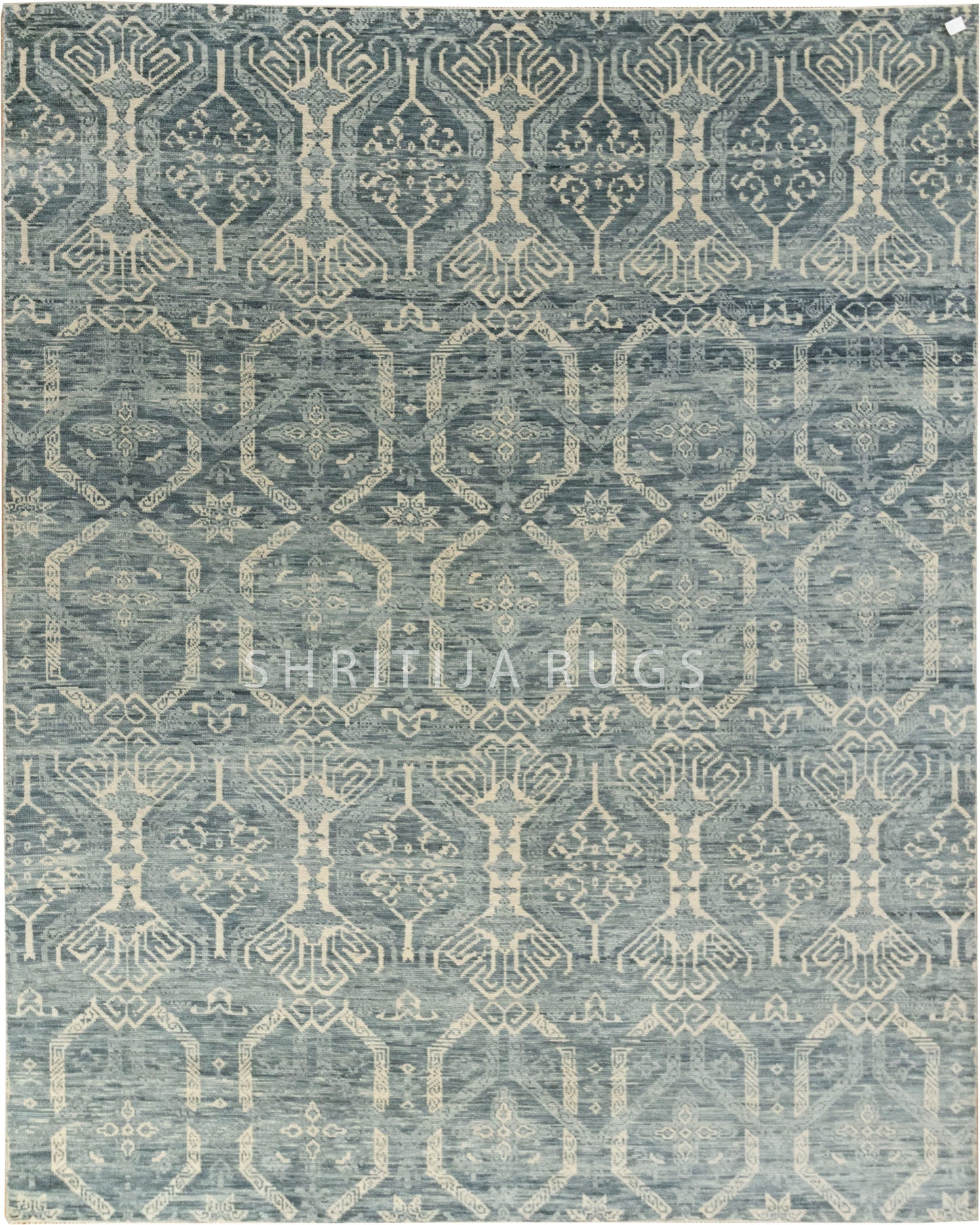 Mika Vintage Transitional Rug..
