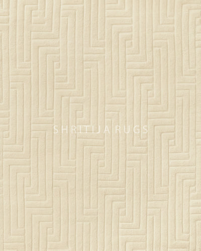 Fluffy Shag Area Rug