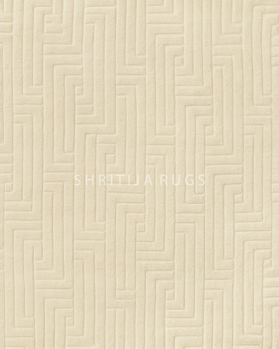 Fluffy Shag Area Rug