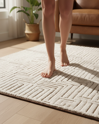 Plush Shag Rug