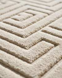 Fluffy Shag Area Rug